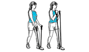 exercice Musculaire N°1