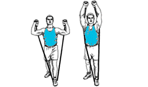 exercice Musculaire N°2