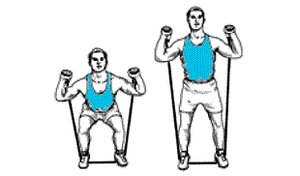 Exercice Musculaire N°3